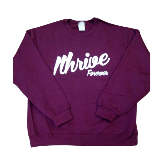 Maroon Retro Sweatshirt